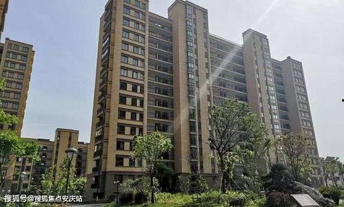 魏县逾期房源爆料最新消息,揭秘逾期房源背后的真相与应对策略